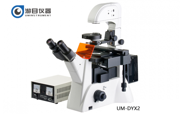 UM-DYX2倒置熒光顯微鏡