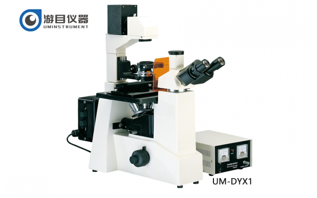 UM-DYX1倒置熒光顯微鏡